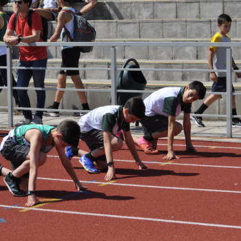 Captura de pantalla 2025-10-06 a la(s) 12.20.40 a. m.